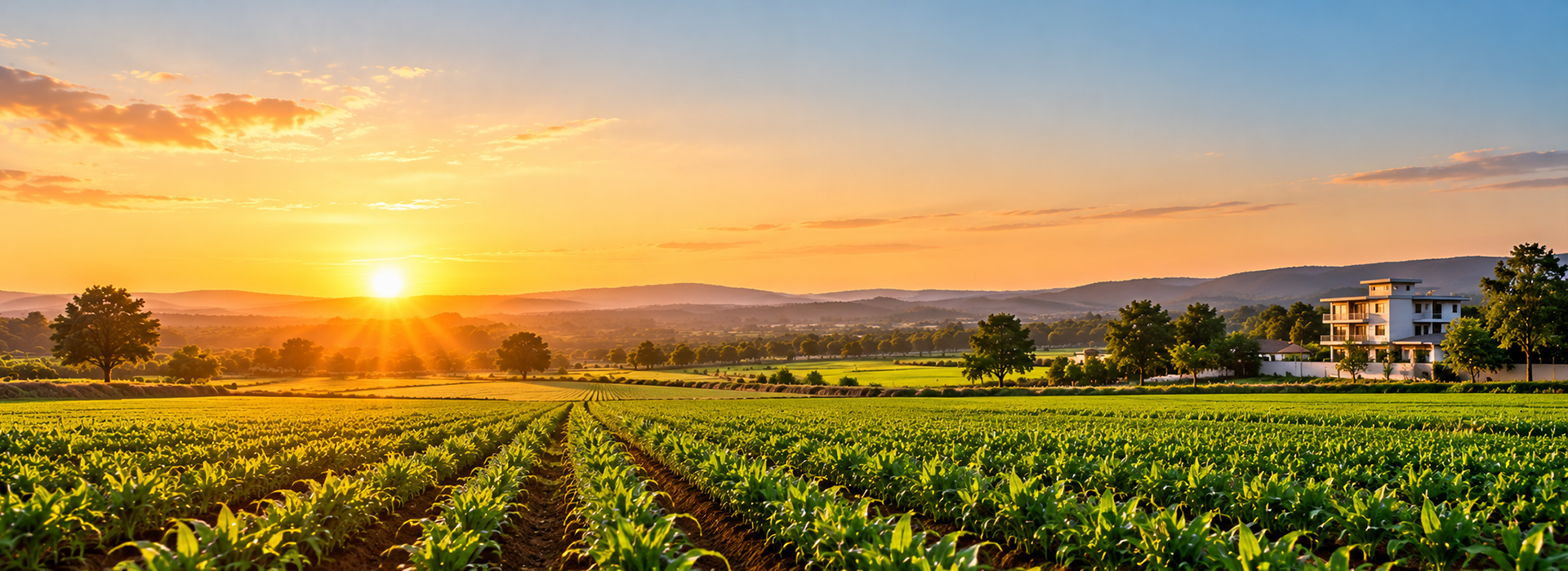 Agricultural Land and Farming Opportunities